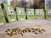 American Elm Tree | Seed Starter Grow Kit | Seeds In A Cup®