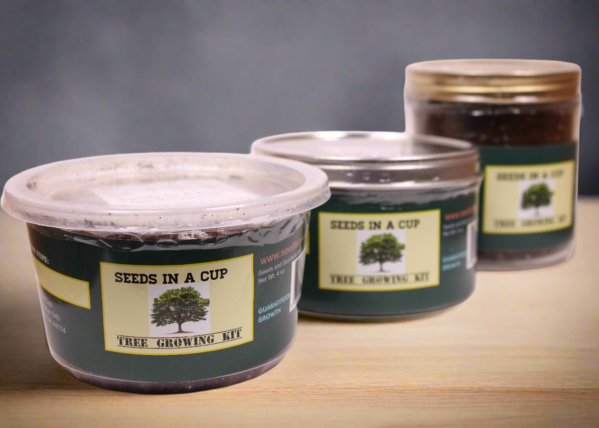 Blackberry | Shrub Seed Starter Grow Kit | Seeds In A Cup®