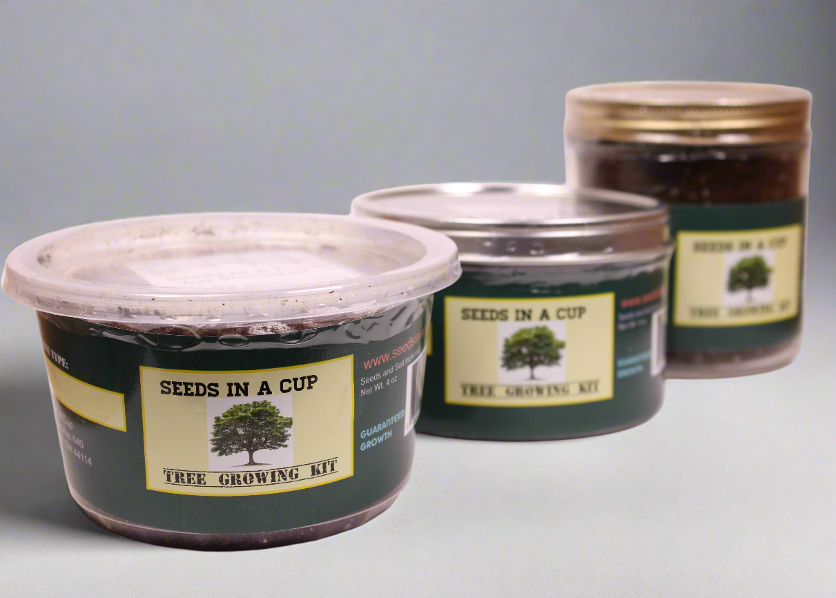 Kiwi Vine | Seed Starter Grow Kit | Seeds In A Cup®