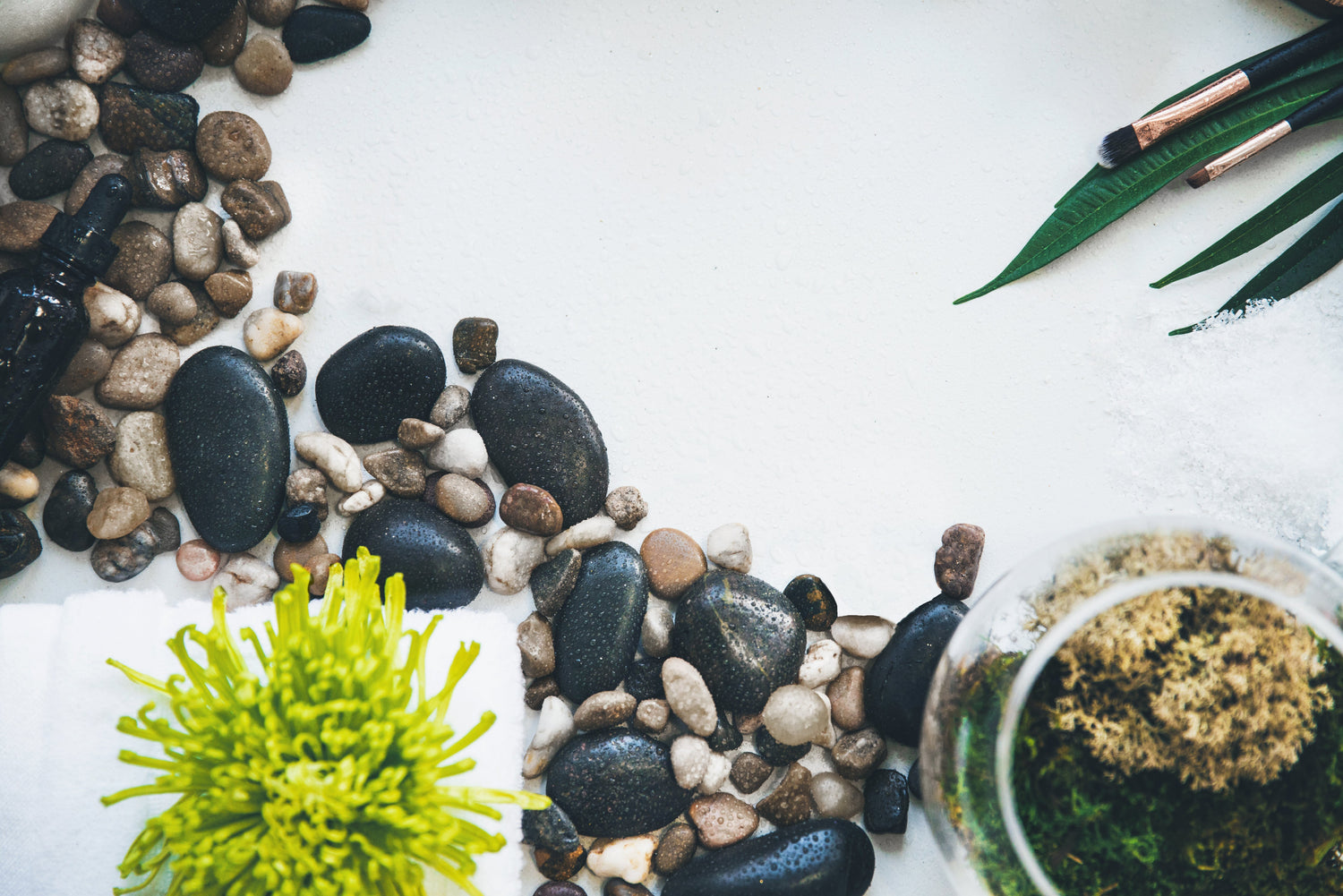 Beauty, Health, and  Wellness