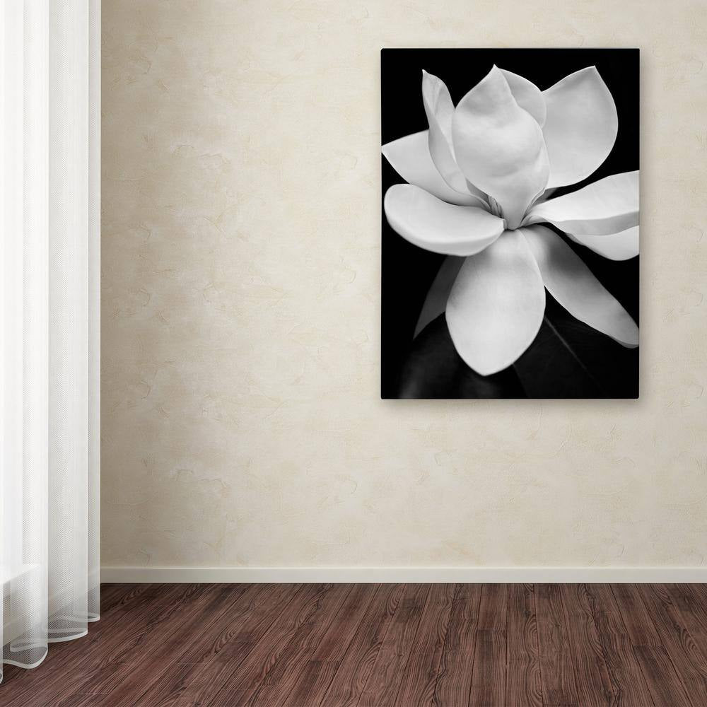 35 In. X 47 In. "Magnolia" by Michael Harrison Printed Canvas Wall Art