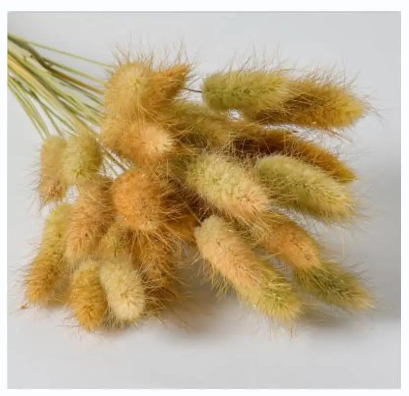 50PCS Natural Dried Pampa Grass Bouquet Boho Home Decor Bouquet Phragmites Dried Flowers Bouquet for Wedding Decoration