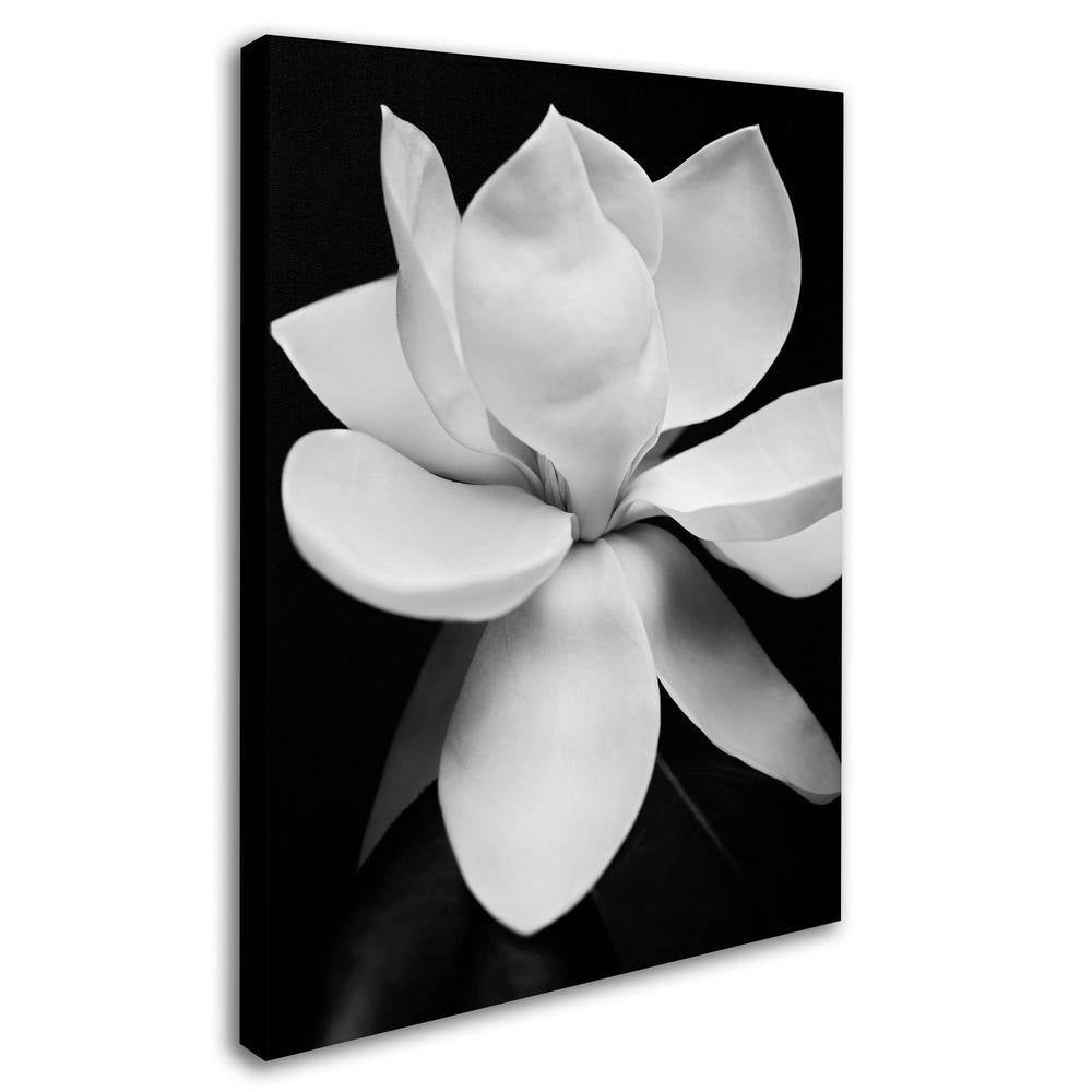 35 In. X 47 In. "Magnolia" by Michael Harrison Printed Canvas Wall Art