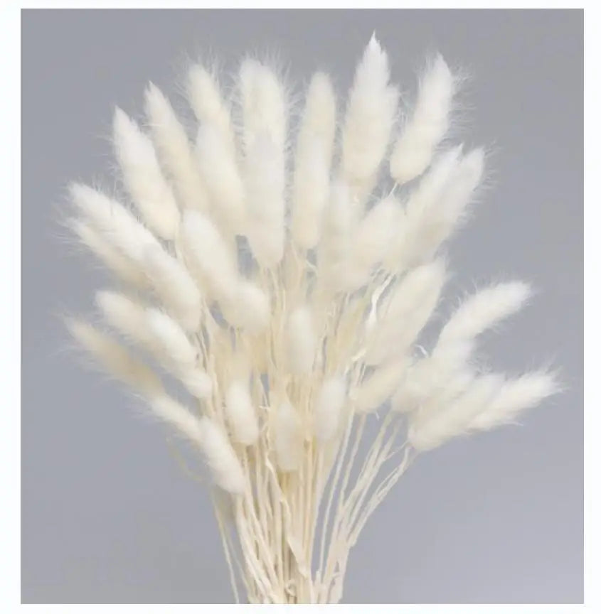 50PCS Natural Dried Pampa Grass Bouquet Boho Home Decor Bouquet Phragmites Dried Flowers Bouquet for Wedding Decoration