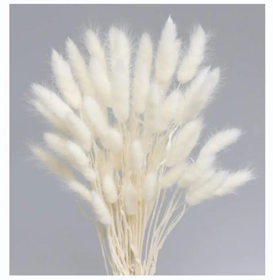 50PCS Natural Dried Pampa Grass Bouquet Boho Home Decor Bouquet Phragmites Dried Flowers Bouquet for Wedding Decoration