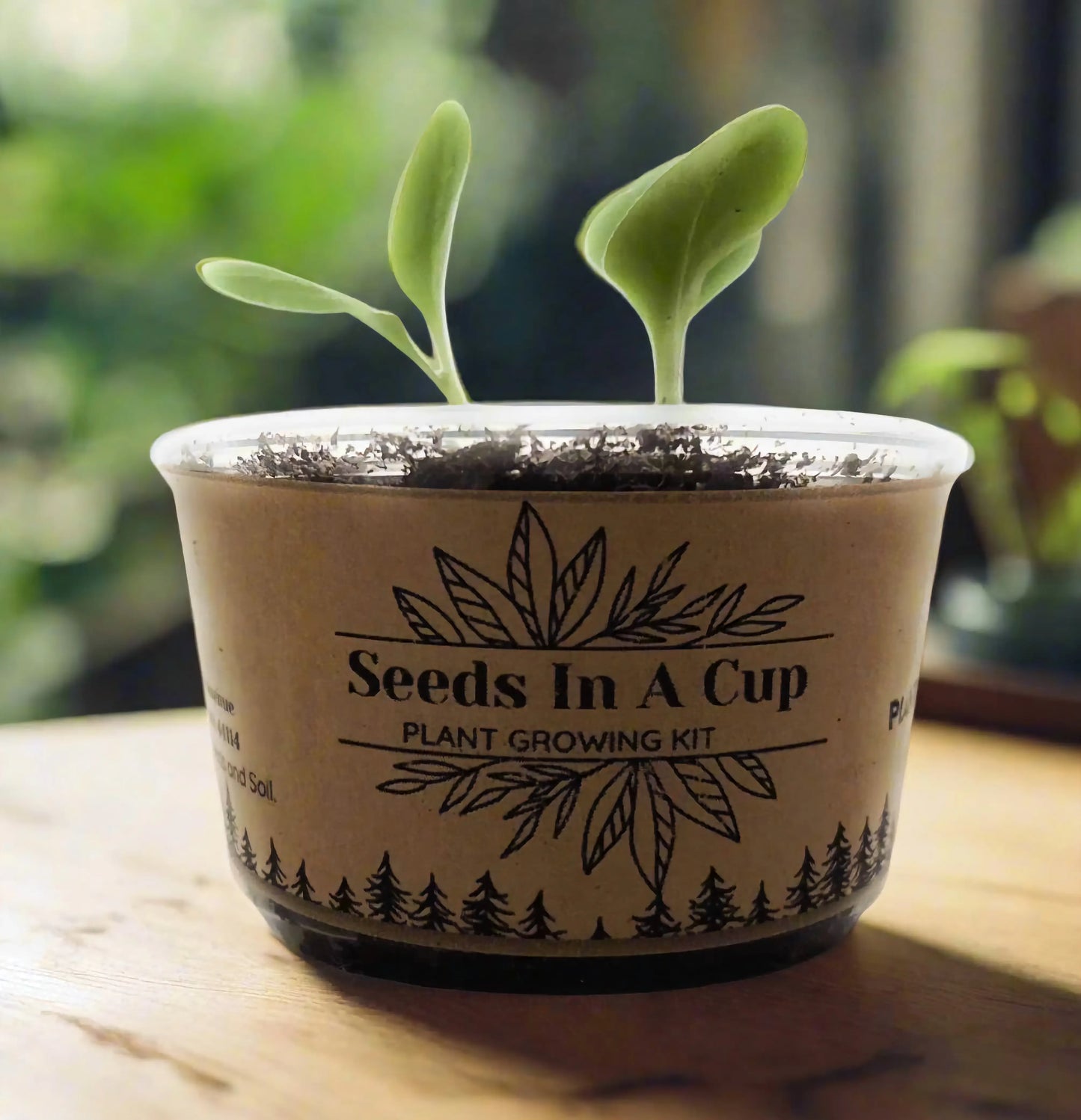 Garden in A Box by Seeds In A Cup® - Choose 10 Vegetable & Herb Kits 50 plus Plant Options To Choose From.