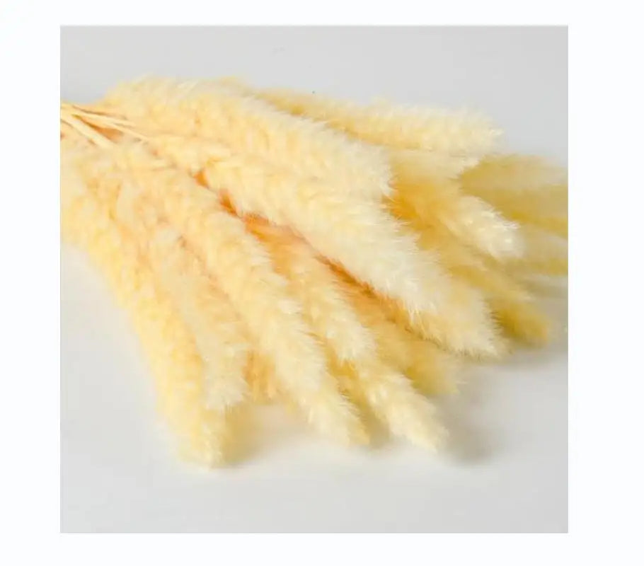 50PCS Natural Dried Pampa Grass Bouquet Boho Home Decor Bouquet Phragmites Dried Flowers Bouquet for Wedding Decoration