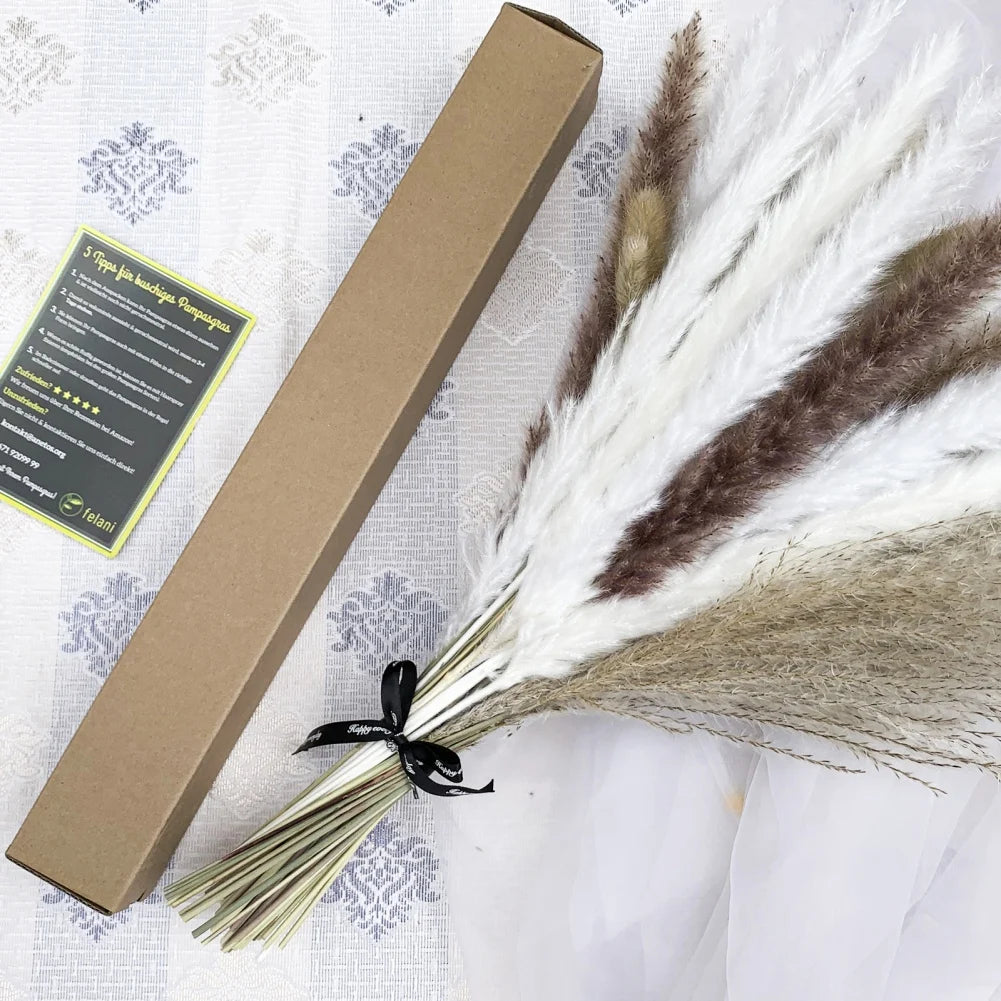50PCS Natural Dried Pampa Grass Bouquet Boho Home Decor Bouquet Phragmites Dried Flowers Bouquet for Wedding Decoration