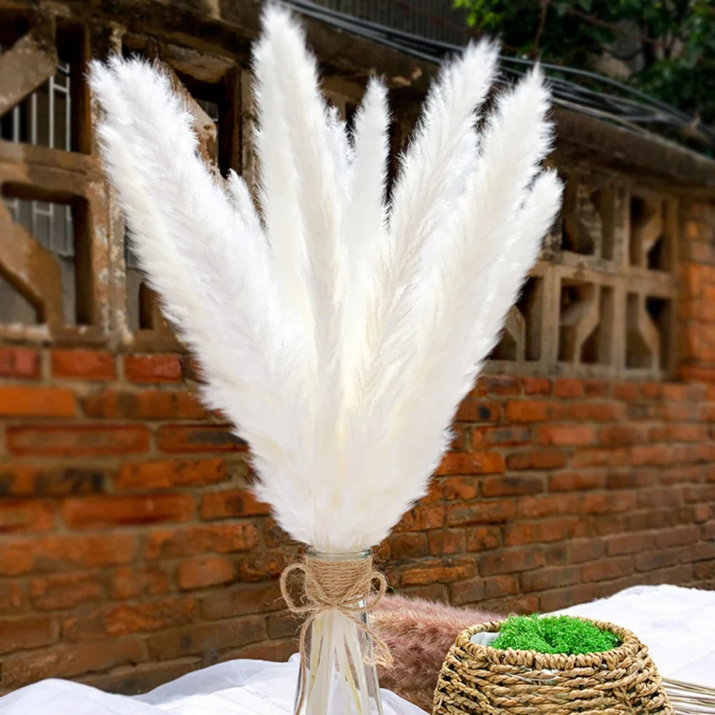 50PCS Natural Dried Pampa Grass Bouquet Boho Home Decor Bouquet Phragmites Dried Flowers Bouquet for Wedding Decoration