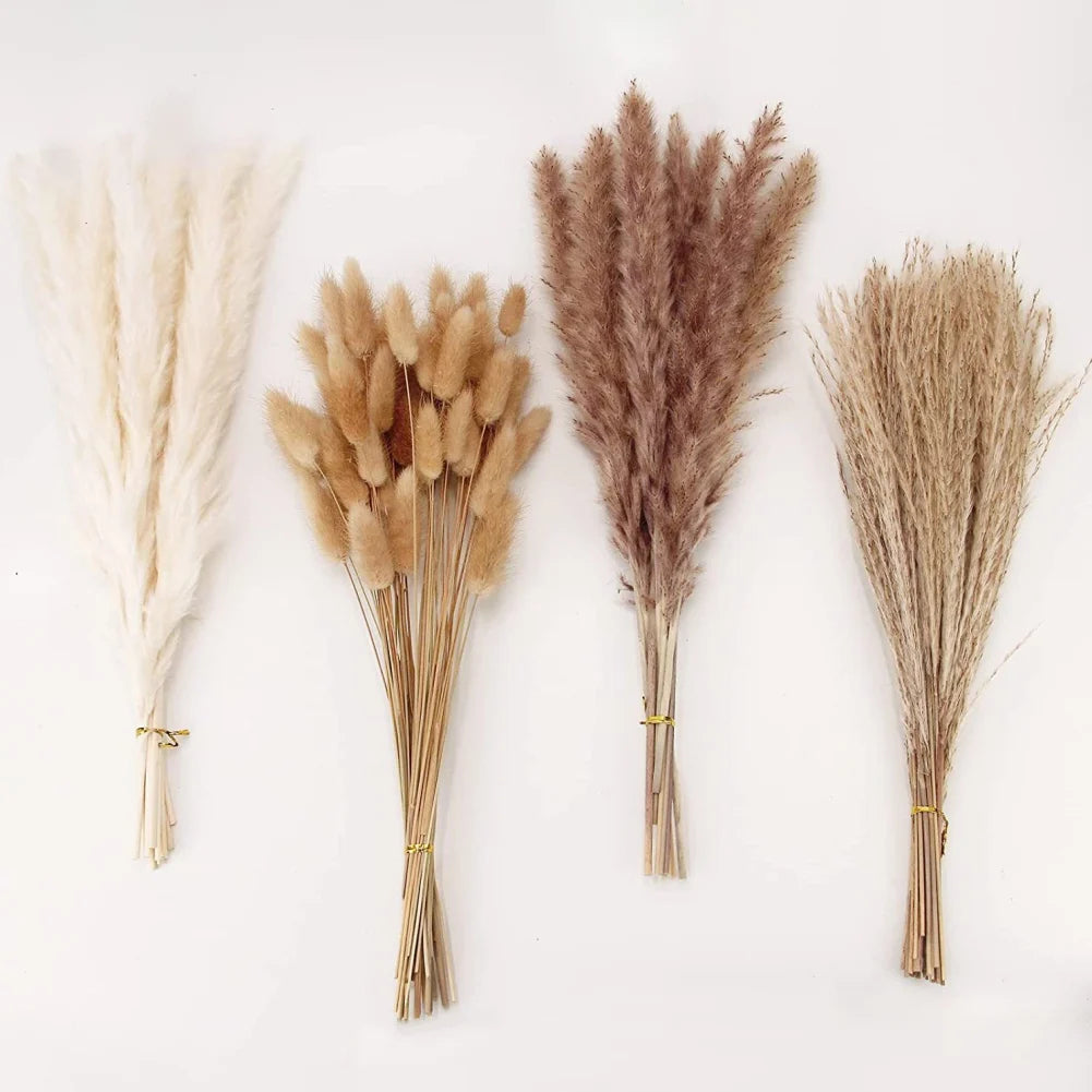 50PCS Natural Dried Pampa Grass Bouquet Boho Home Decor Bouquet Phragmites Dried Flowers Bouquet for Wedding Decoration