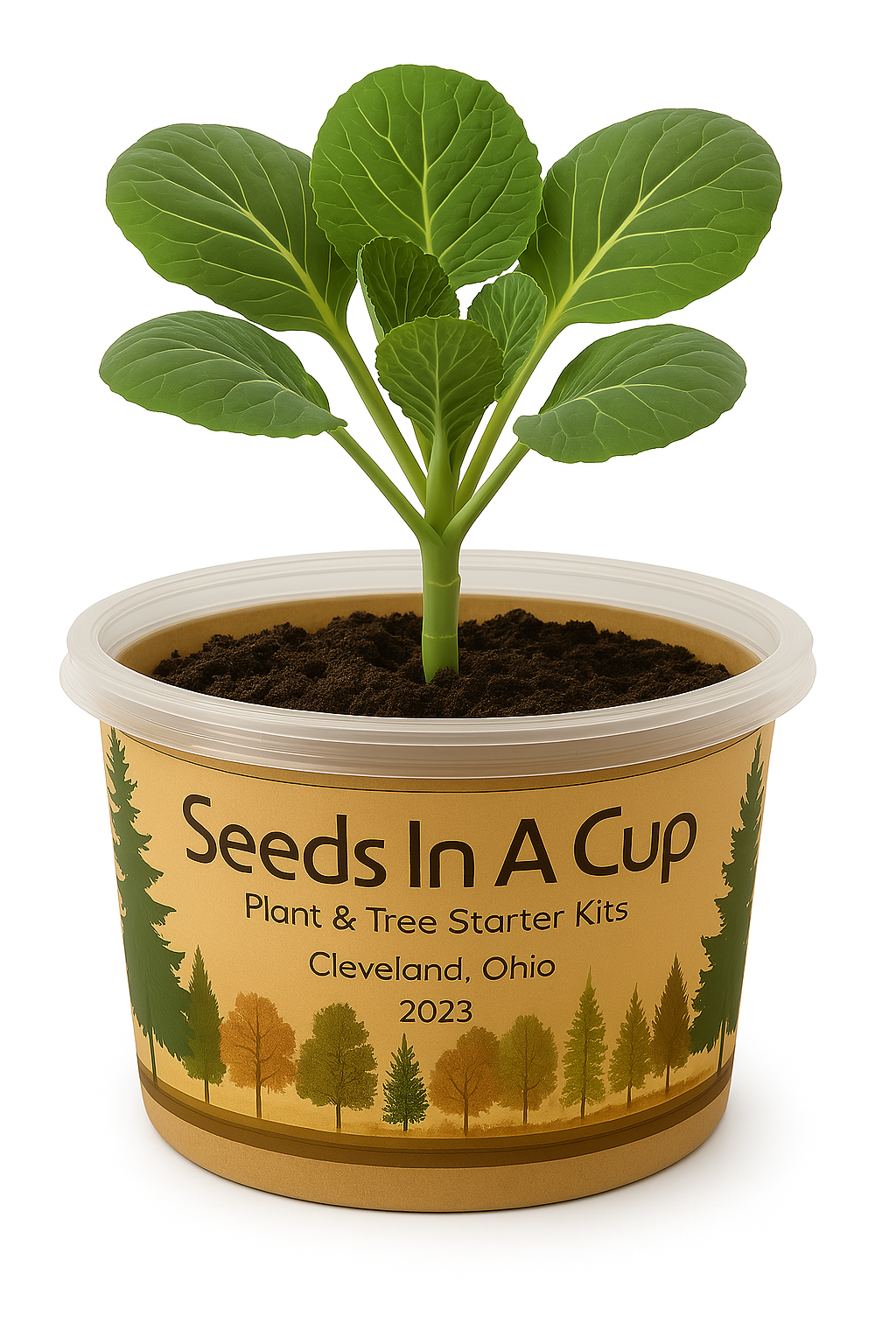 Garden in A Box by Seeds In A Cup® - Choose 10 Vegetable & Herb Kits 50 plus Plant Options To Choose From.