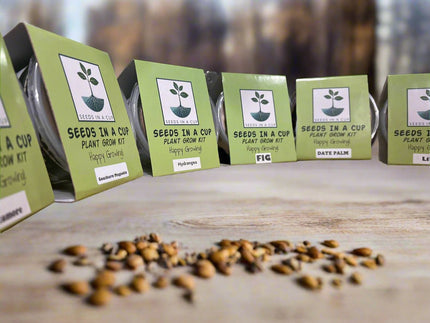Orange Tree | Seed Starter Grow Kit | Seeds In A Cup®