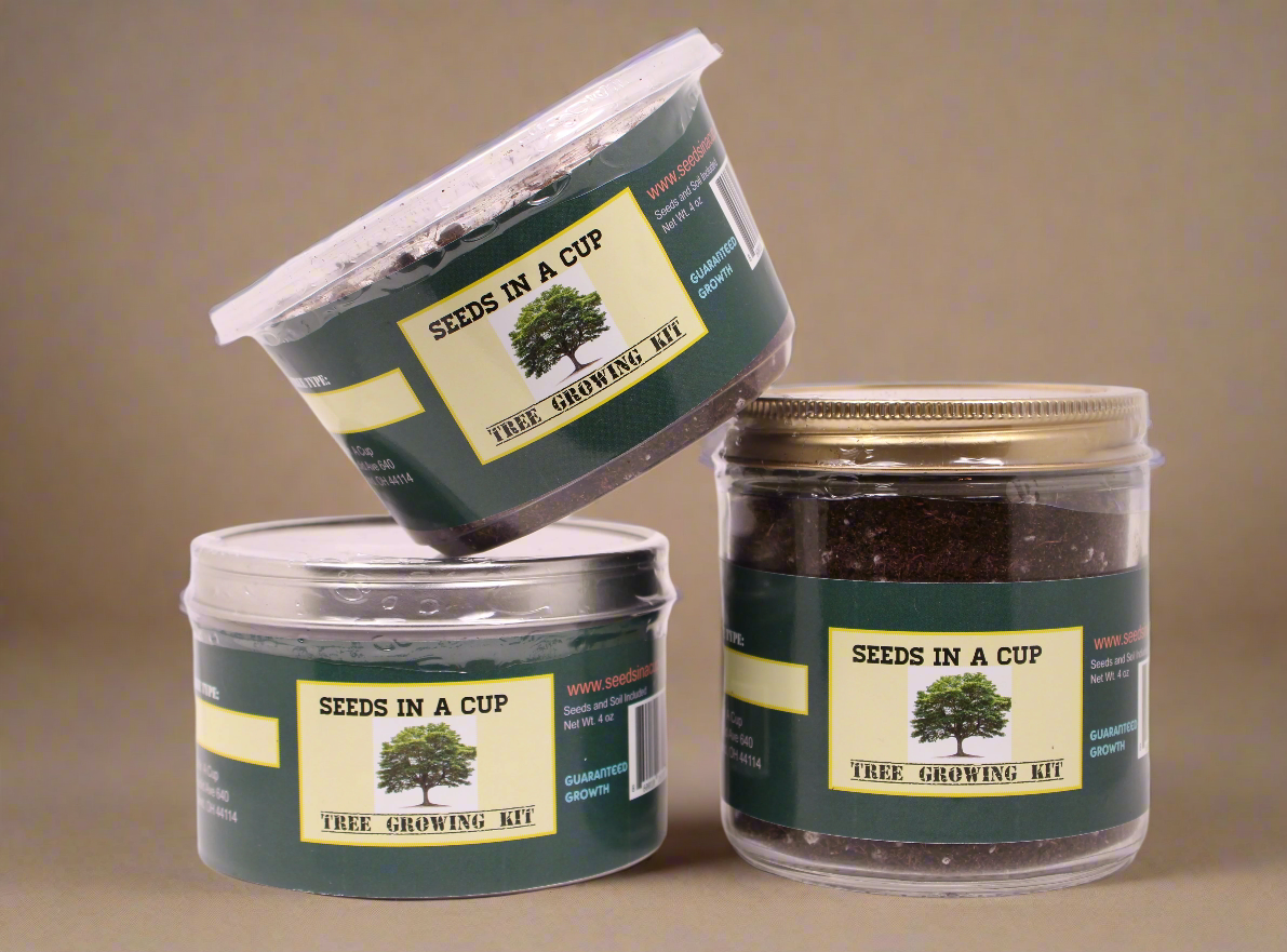 Olive Tree | Seed Starter Grow Kit | Seeds In A Cup®
