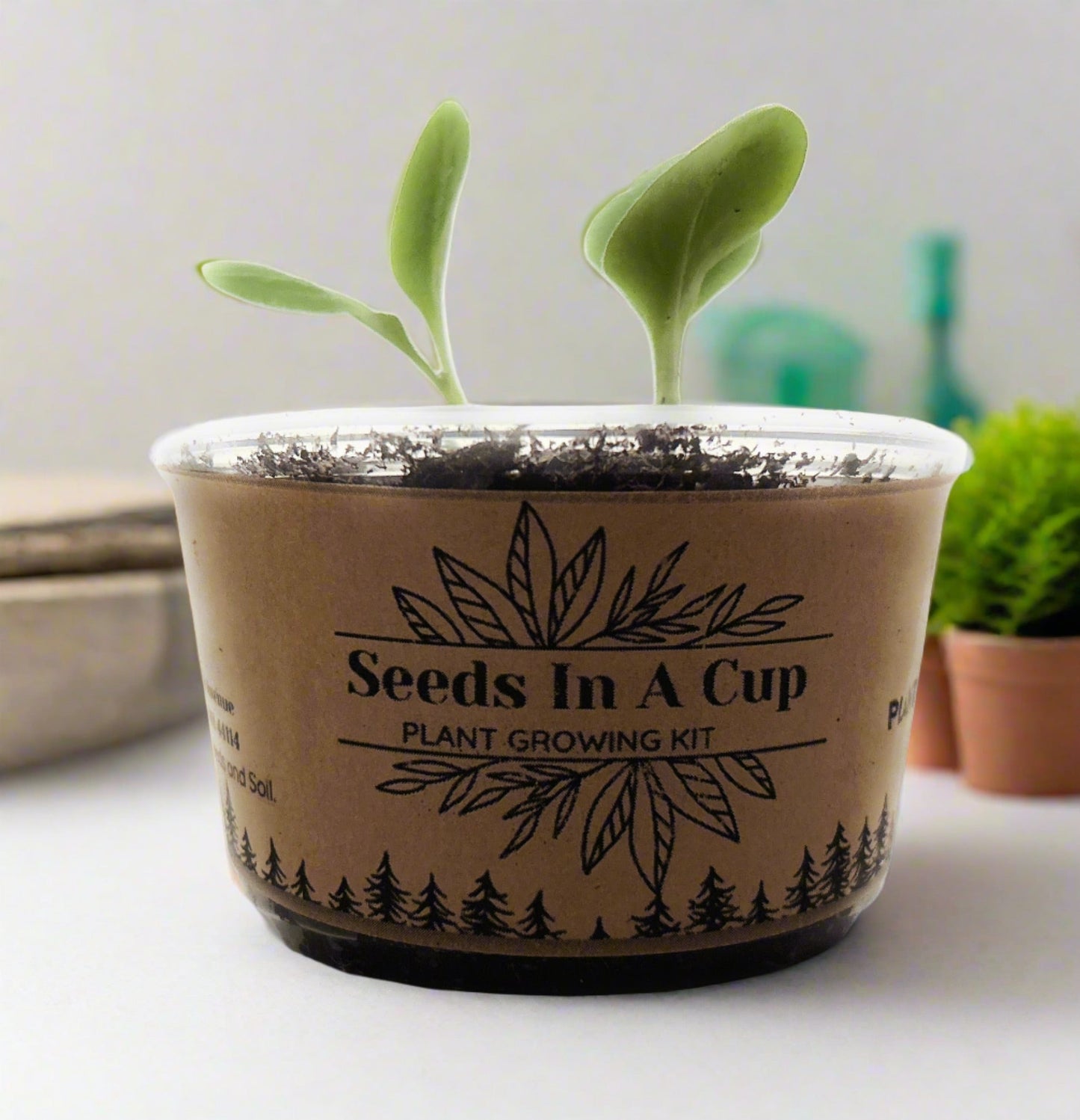 Hibiscus | Plant Seed Starter Grow Kit | Seeds In A Cup®
