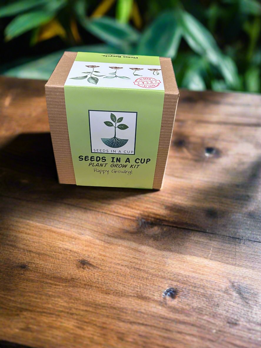 Hazelnut Tree | Seed Starter Grow Kit | Seeds In A Cup®