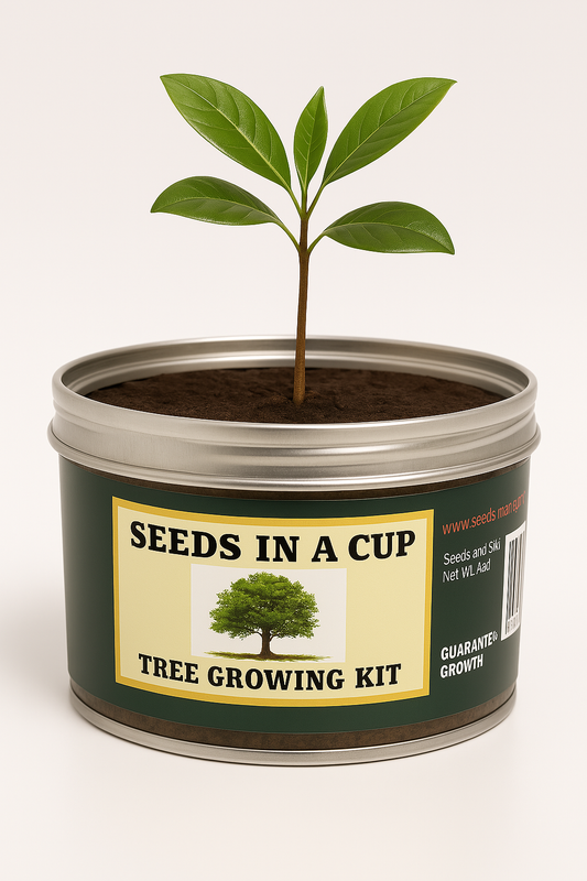Southern Magnolia Tree | Seed Starter Grow Kit | Seeds In A Cup®