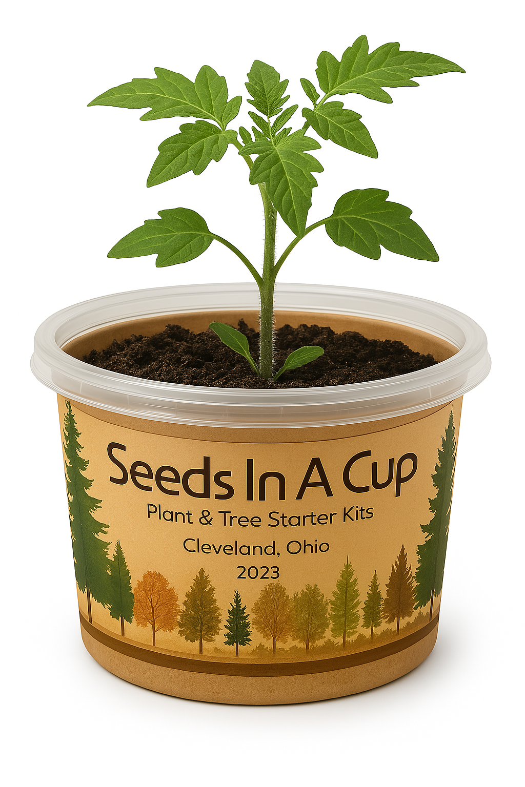 Jasmine | Plant Seed Starter Grow Kit | Seeds In A Cup®