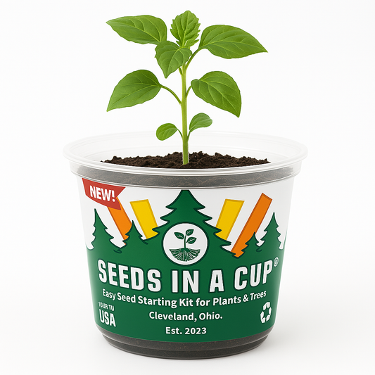 Turnip | Plant Seed Starter Grow Kit | Seeds In A Cup®